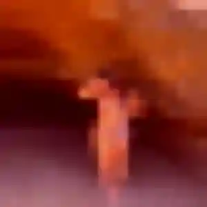 Photo exclusive de Flore, 41 ans à Ploemeur - rencontre sans lendemain