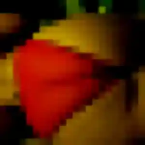 Photo perso de Prisca, 41 ans à Plouarzel - rencontre sans lendemain