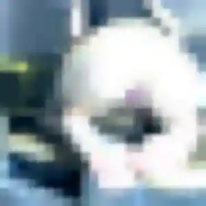 Profil de Julie à Plouyé (40 ans) - plan cul anonyme