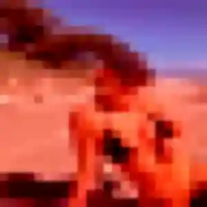Profil de Svetlana à Pomas (25 ans) - plan cul gratuit