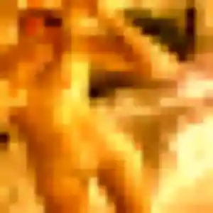 Photo exclusive de Fatima, 33 ans à Pontailler-sur-Saône - plan discret