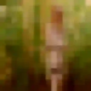 Sandrine, 45 ans, cherche un plan cul à Ponteilla