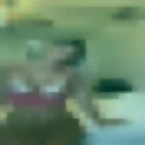 Svetlana, 33 ans, cherche un plan cul à Preignac