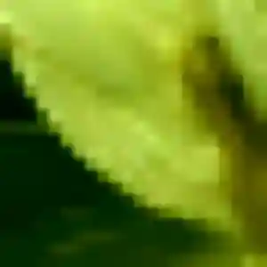 Photo de Karima à Prémilhat (43 ans) - plan cul discret