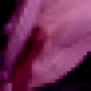Sexy Imane, 26 ans à Prigonrieux - voir sa photo