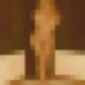 Photo de Sonia à Puyoô (34 ans) - plan cul anonyme