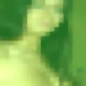 Janine, 34 ans, disponible à Réalmont pour une rencontre coquine