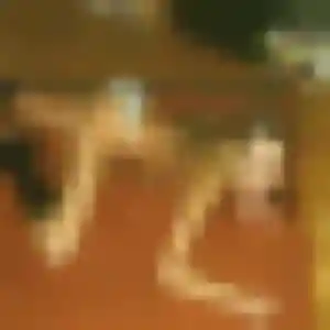 Photo de Inaya à Rédené (41 ans) - plan cul gratuit