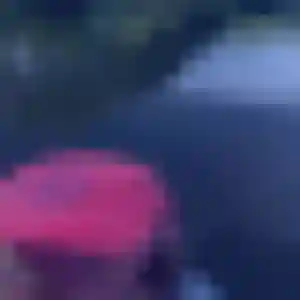 Sara, 44 ans, en ligne à Reipertswiller pour un plan cul