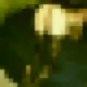Lisette, 22 ans, cherche un plan cul à Rombas