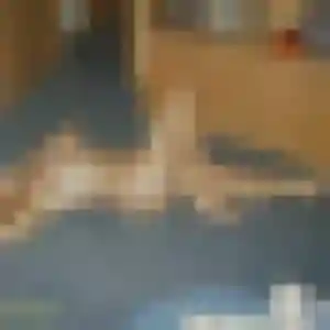 Photo de Tania à Roncq (28 ans) - plan cul discret