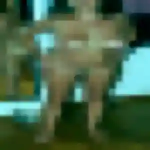 Photo privée de Lise, 39 ans à Roquevaire - rencontre coquine
