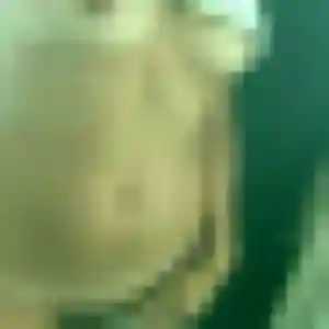 Contacte Sonia, 43 ans à Rosoy en privé