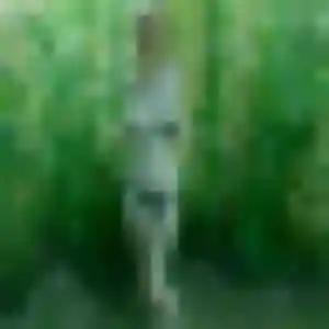 Louisa, 30 ans, connectée à Rouffach pour une rencontre coquine