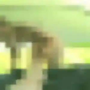 Profil de Iris à Rougé (34 ans) - plan cul anonyme