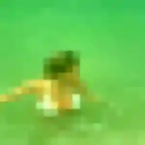 Profil de Samantha à Russ (27 ans) - plan cul gratuit