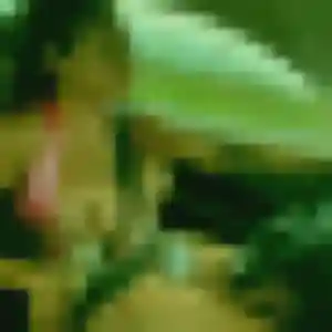Photo de Alessandra à Ry (35 ans) - plan cul anonyme