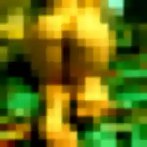 Photo de Marie-Line à Saffré (33 ans) - plan cul anonyme