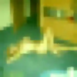 Sibylle, femme de 43 ans cherche plan cul à Saint-André-de-Sangonis