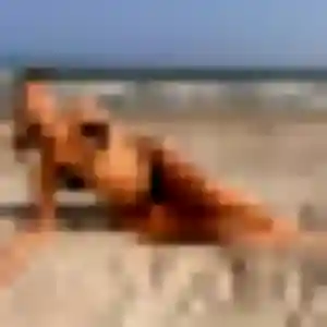 Emeraude, 35 ans, disponible à Saint-Bauzile pour un plan cul