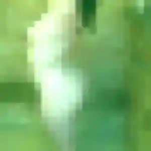 Photo perso de Geneve, 29 ans à Saint-Cernin - rencontre coquine