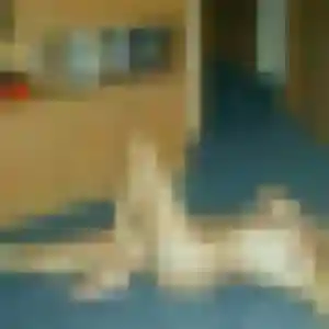 Laura (40 ans) à Saint-Chaptes cherche un plan cul ce soir