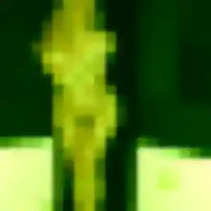 Yael, femme de 23 ans cherche plan cul à Saint-Erblon