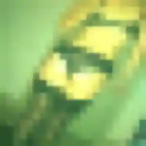 Raphaelle, femme de 41 ans cherche plan cul à Saint-Germain-des-Fossés
