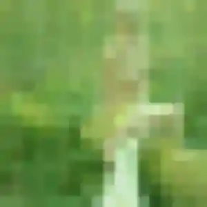 Photo de Ximena à Saint-Glen (37 ans) - plan cul gratuit