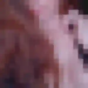 Ursula (26 ans) à Saint-Junien cherche un plan cul ce soir