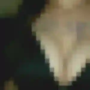 Lise, 29 ans, disponible à Saint-Martin-sur-Ocre pour une rencontre coquine