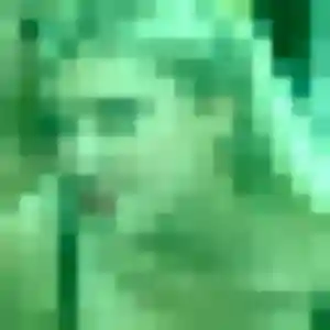 Photo exclusive de Ariane, 43 ans à Saint-Michel-d'Euzet - rencontre sans lendemain