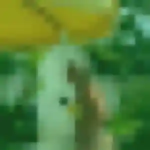 Valentina, 44 ans, connectée à Saint-Restitut pour une rencontre coquine