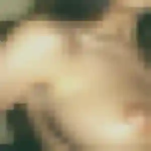 Charmante Leila, 29 ans à Saint-Rogatien - la contacter