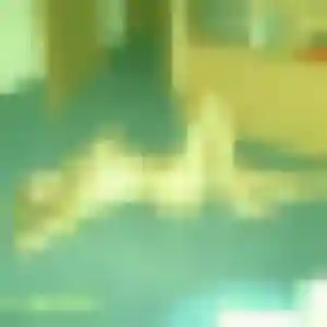 Lucie, 24 ans, dispo pour plan cul à Saint-Ségal