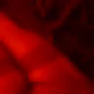 Fabienne, femme de 41 ans propose plan cul à Saint-Sulpice-de-Royan
