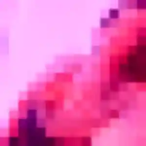 Photo privée de Phoebe, 27 ans à Sainte-Croix - rencontre sans lendemain