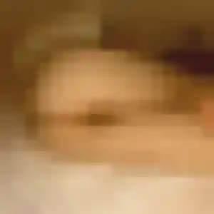 Photo privée de Eleonore, 43 ans à Sainte-Tulle - rencontre coquine
