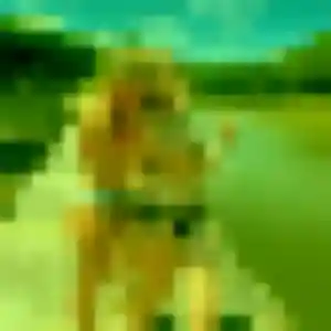Photo exclusive de Olivia, 33 ans à Salagnon - rencontre coquine