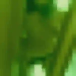 plan cul à Salency : photo de Alienor, 33 ans - accès libre