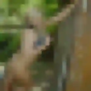 Photo sexy de Anais, 34 ans à Saligny - rencontre sans lendemain
