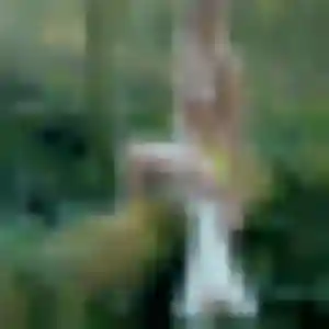 Domitille, 33 ans, connectée à Sare pour une rencontre coquine