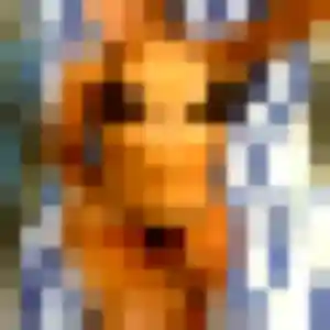 Photo de Celine à Saussines (41 ans) - plan cul anonyme