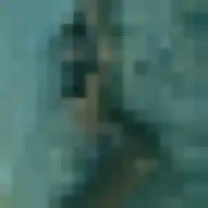 Photo de Sara à Sauvagnon (29 ans) - plan cul sans inscription