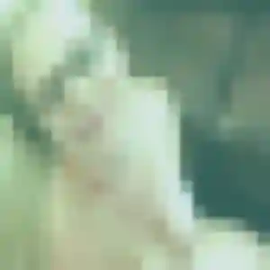 Sofia, 23 ans, connectée à Sennecey-le-Grand pour une rencontre coquine