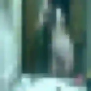 Photo de Lisa à Servas (41 ans) - plan cul sans inscription