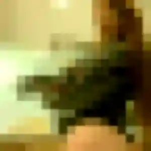 Vinciane, 26 ans, dispo pour plan cul à Setques