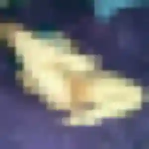 Photo de Phoebe à Sevrier (36 ans) - plan cul anonyme