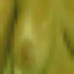 Yael, fille de 45 ans cherche plan cul à Seyches
