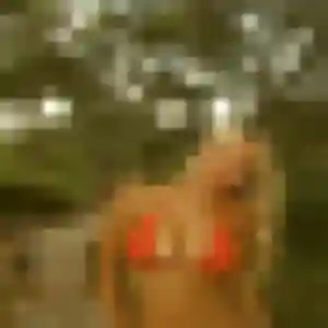 Christelle, femme de 41 ans cherche plan cul à Souillac